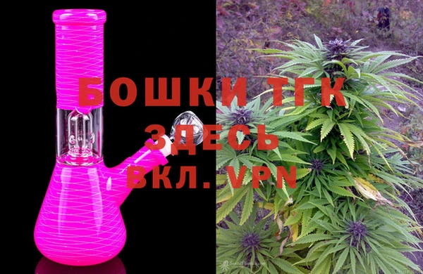 молекула духа Новодвинск