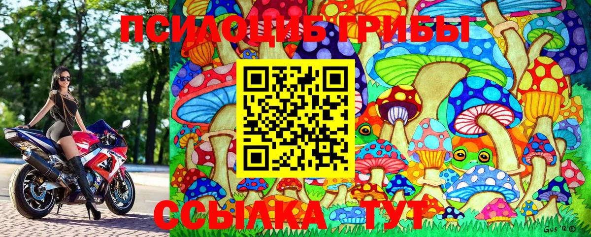 как найти закладки  Вход с VPN  Южноуральск  Галлюциногенные грибы Magic Shrooms  Галлюциногенные грибы Psilocybe 